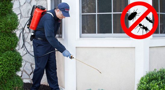 Çeşmealtı Akrep İlaçlama böcek ilaçlama ve haşere kontrolü — ilaclama-tr.com